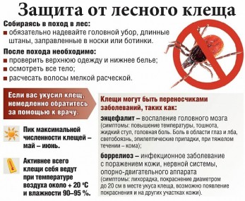 Сергей Казаковцев: Современные рекомендации позволяют проводить вакцинацию против клещевого вирусного энцефалита в течение всего года