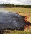 Сжигание сухой травы приносит огромный вред!