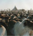 В Республике Коми вводится режим повышенной готовности для подразделений РСЧС