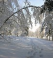 В Вуктыльском районе пропал житель Прилузья