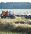 В южных районах РК возможно возделывание зерновых культур