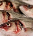 Всплеск заболеваемости описторхозом и дифиллоботриозом