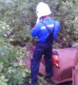 Вуктыльские спасатели эвакуировали пятерых новорожденных щенят
