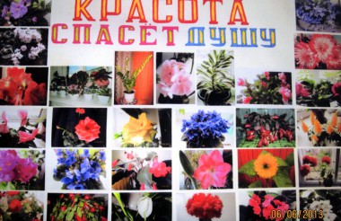 Красота спасёт душу Красота спасёт душу