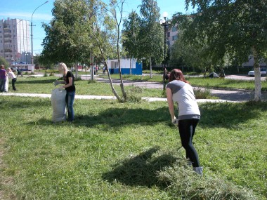 Не шумите, берёзы…