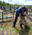 Субботник на городском кладбище