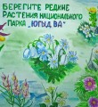Заповедной России – 100 лет